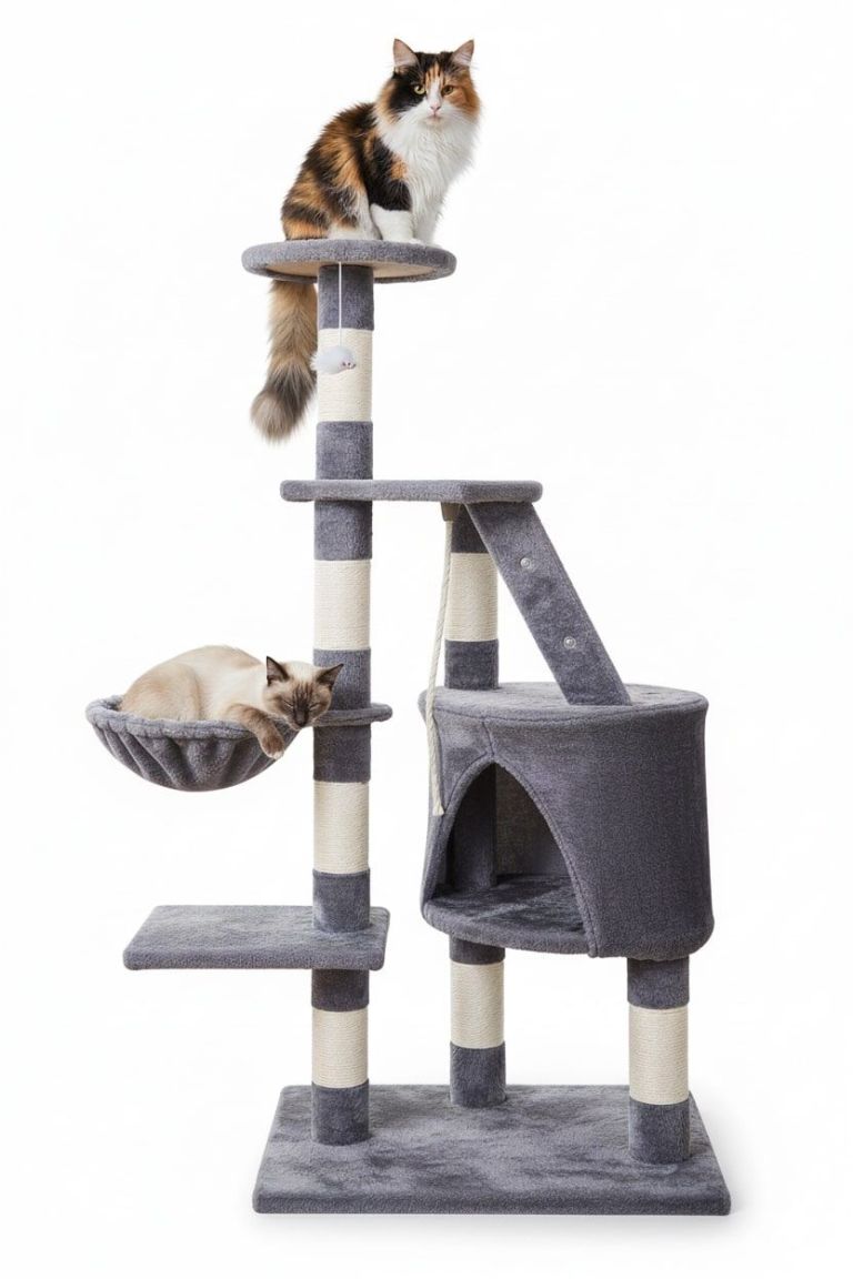 v178 36377 202602251115 00.jpg Two cats on grey multi-level cat tree