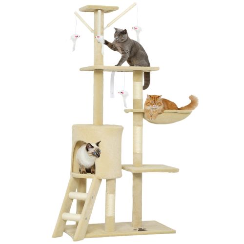 Three cats playing on multi-level cat tree