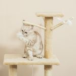 Kitten playing with feather toy on cat tree