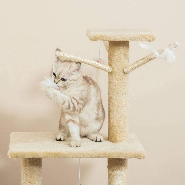 Kitten playing with feather toy on cat tree