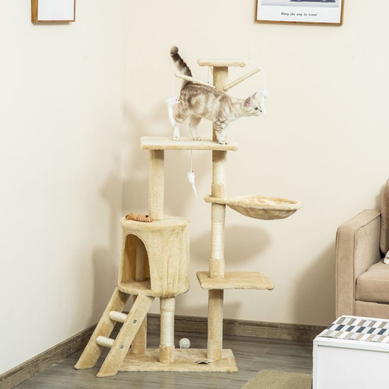 Tabby cat standing on beige cat tree