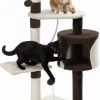 Two cats playing on multi-level cat tree