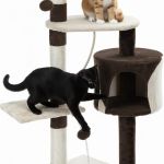 Two cats playing on multi-level cat tree