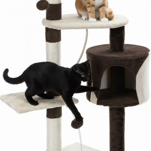 Two cats playing on multi-level cat tree