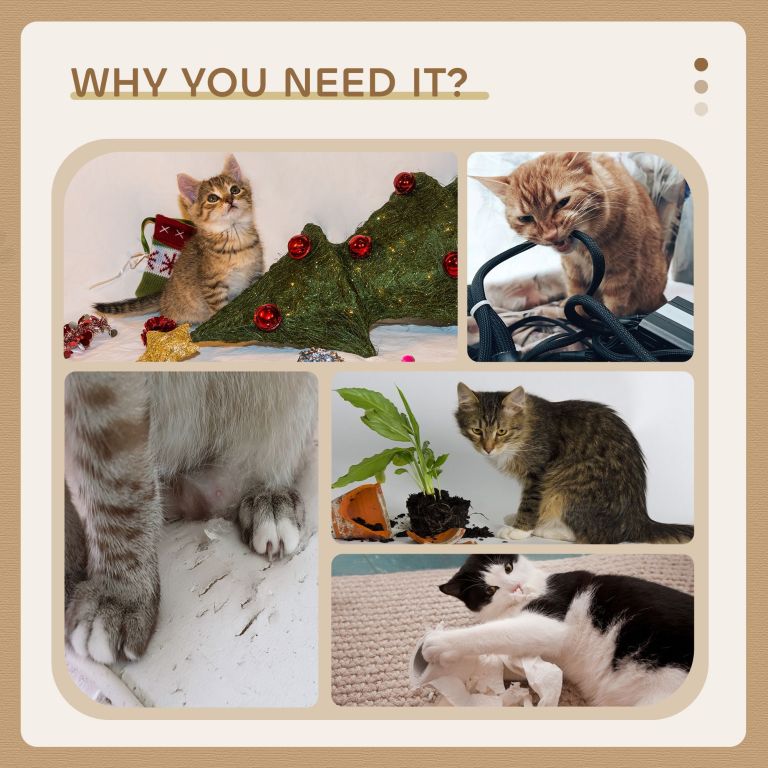 Cats causing household mess and damage collage