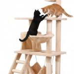 Two cats playing on beige cat tree