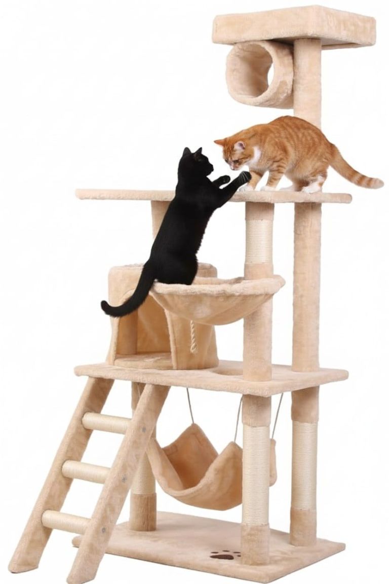 Two cats playing on beige cat tree