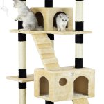 Two cats on beige multi-level cat tree