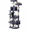 v178 36386 202602251115 00.jpg Two cats on multi-level grey cat tree