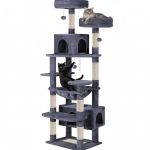 v178 36386 202602251115 00.jpg Two cats on multi-level grey cat tree