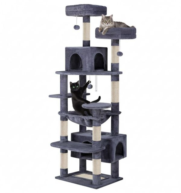 v178 36386 202602251115 00.jpg Two cats on multi-level grey cat tree