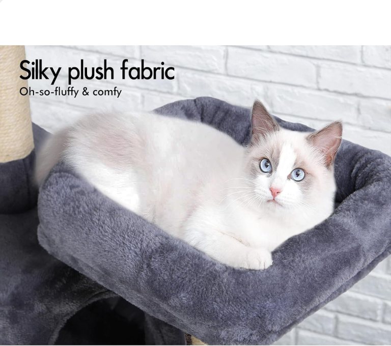carla home 180cm cat tree tower for indoor cats with plush perches, dual condos, natural sisal scratching posts & ramps for kittens & adult cats (grey) Fluffy cat resting on grey plush cat bed