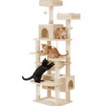 Three cats playing on beige cat tree tower