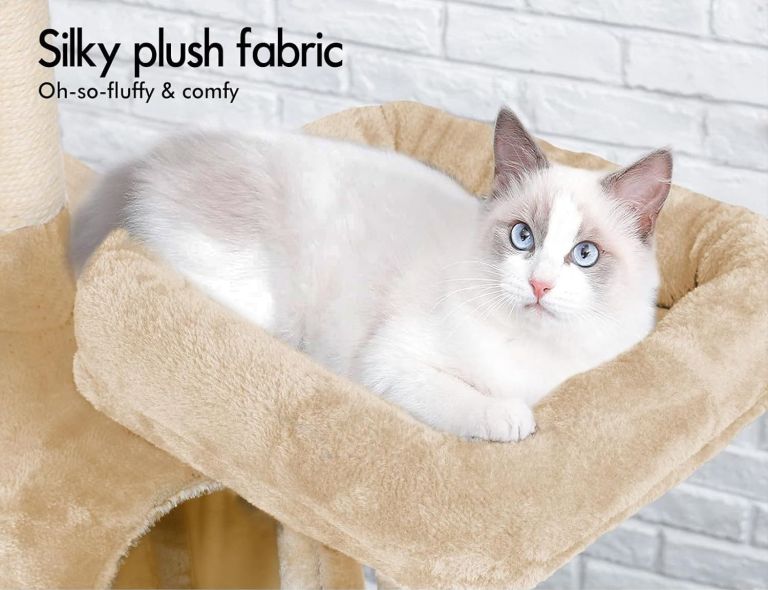 Fluffy cat resting on plush cat tree bed