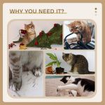 Cats causing household mess and damage collage