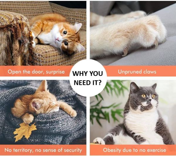 carla home 180cm cat tree tower for indoor cats with plush perches, dual condos, natural sisal scratching posts & ramps for kittens & adult cats (beige) Collage of cats showing scratching and obesity issues