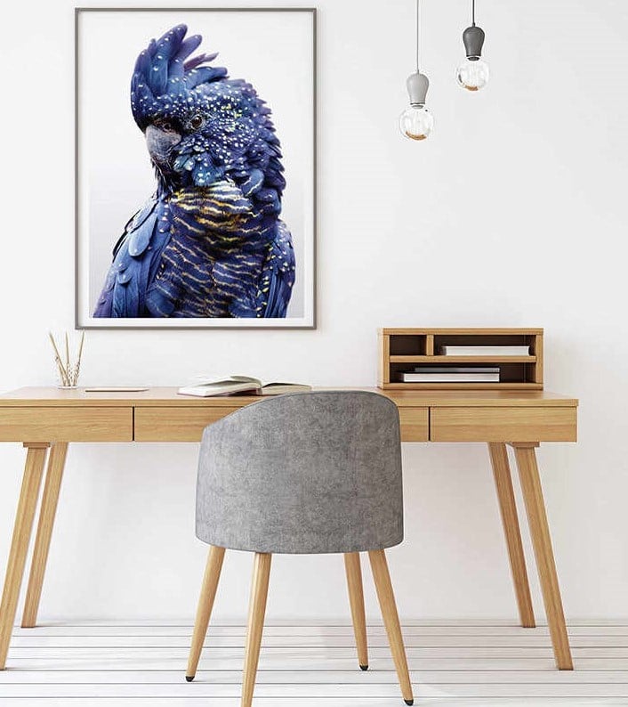 Framed blue cockatoo artwork above modern wooden desk