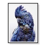 Blue cockatoo with speckled feathers portrait