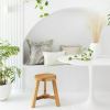 Minimalist white nook with plants and cushions