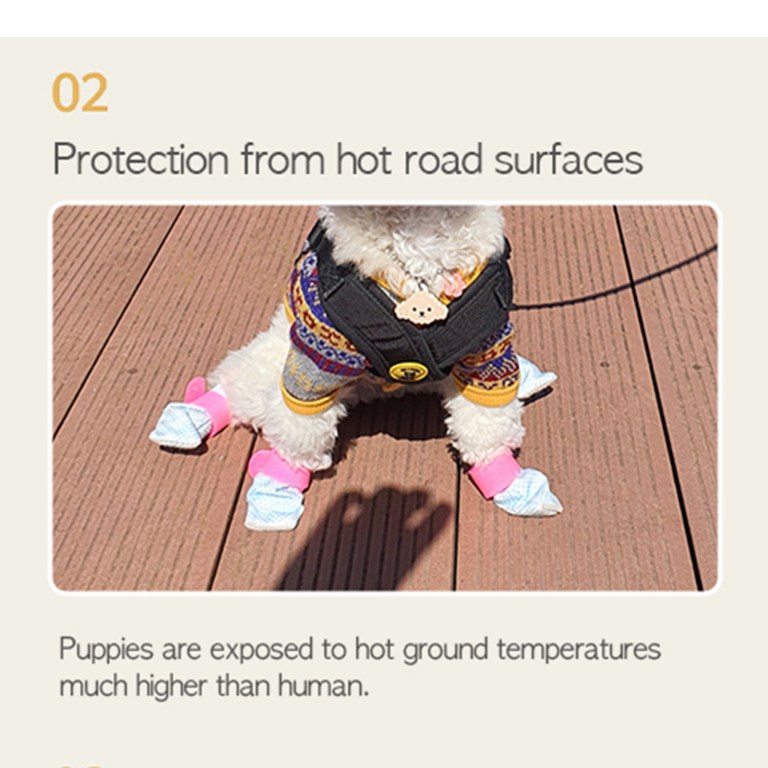 28pc x dog shoes waterproof disposable boots anti slip pet socks l yellow Small dog wearing booties on hot decking