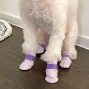 28pc x dog shoes waterproof disposable boots anti slip pet socks l yellow White dog wearing purple booties indoors