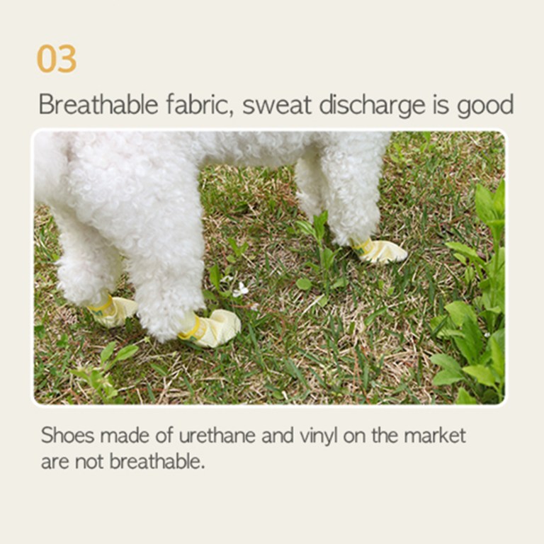 White dog wearing yellow breathable shoes on grass