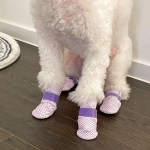 Small white dog wearing purple booties indoors