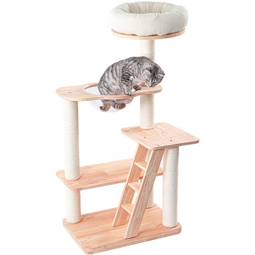 Grey tabby cat on wooden cat tree