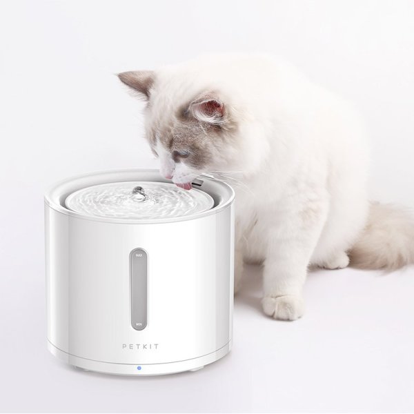 petkit eversweet solo 2 wireless smart water fountain 2l Fluffy white cat drinking from pet water fountain