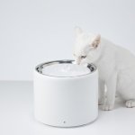 White cat drinking from modern water fountain