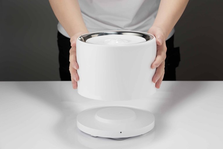 Hands holding white automatic pet water fountain