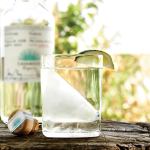 Tequila on ice with lime garnish