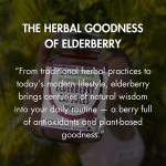 Bottle of elderberry capsules outdoors with text overlay