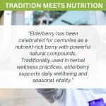 Elderberry nutrition quote over laboratory background