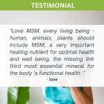Customer testimonial about MSM health supplement benefits