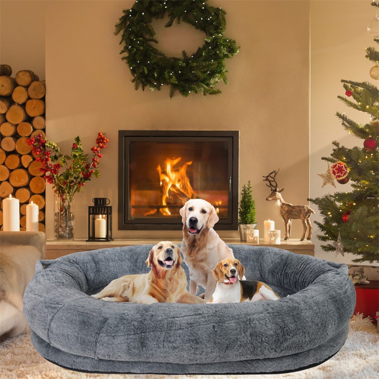 Three dogs in cosy bed by fireplace
