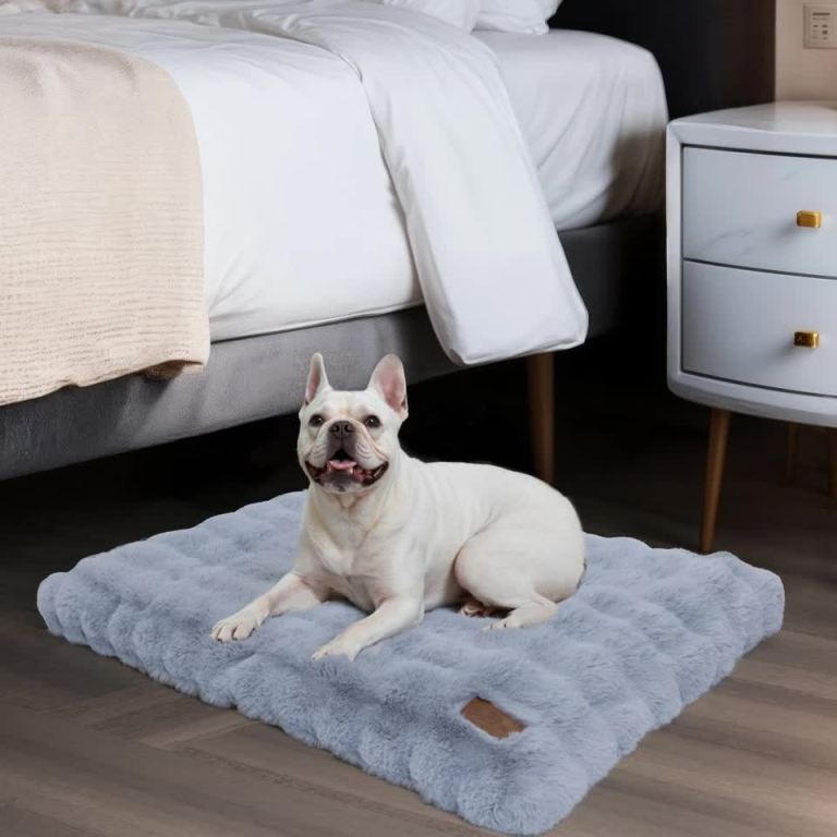 comfortable pet bed with removable cover and anti skid base(medium) French Bulldog resting on fluffy mat beside bed