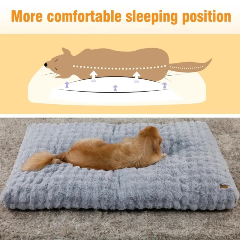 comfortable pet bed with removable cover and anti skid base(medium) Dog resting on plush supportive pet bed