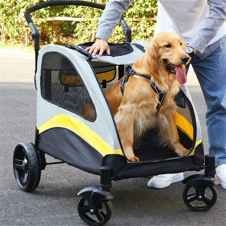large dog stroller foldable pet pushchair with doors Golden retriever in pet stroller outdoors