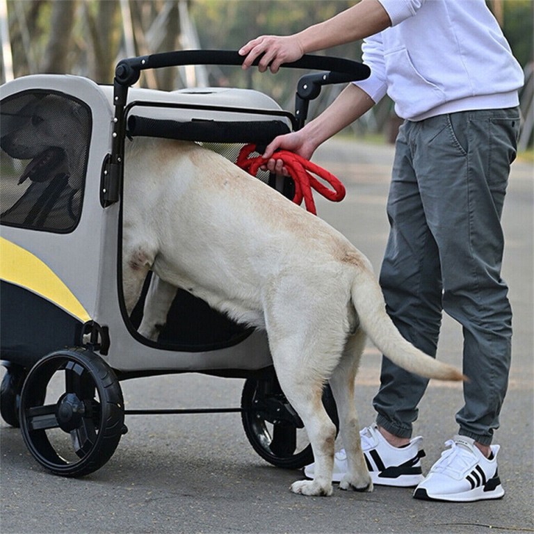 large dog stroller foldable pet pushchair with doors Labrador entering pet stroller on park path