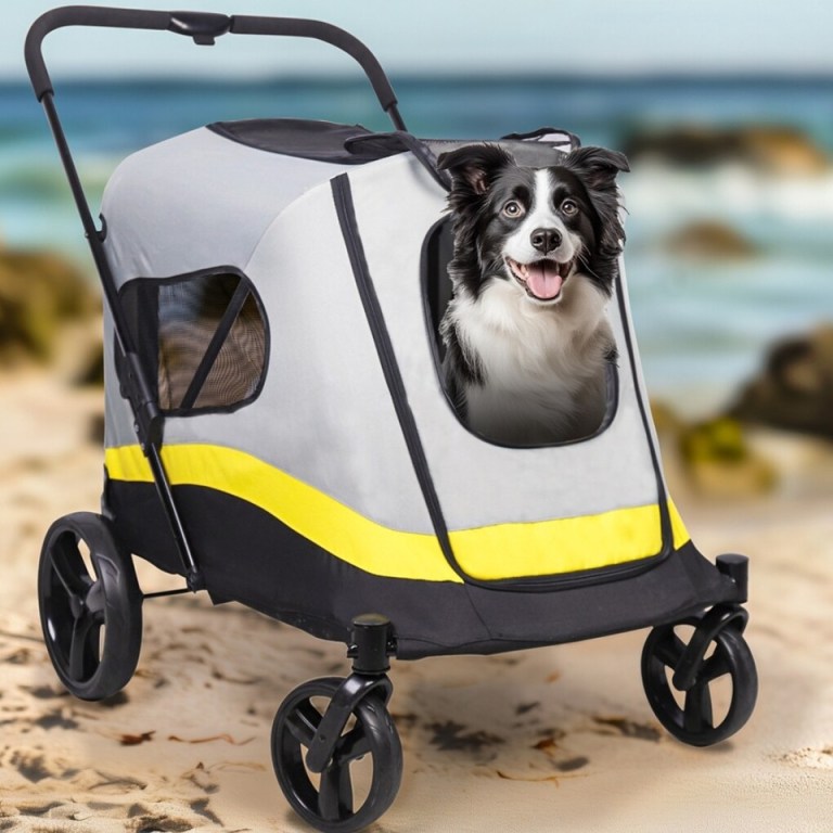 large dog stroller foldable pet pushchair with doors Border collie in pet stroller on beach