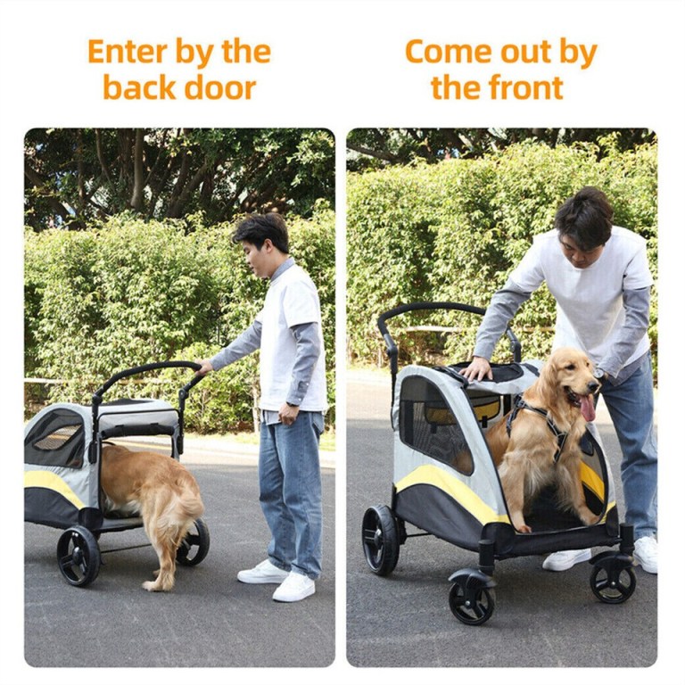 large dog stroller foldable pet pushchair with doors Man guiding golden retriever into pet stroller