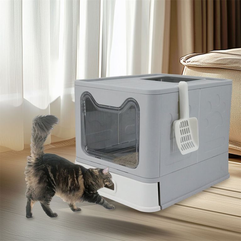 stainless steel enclosed cat litter box top exit pet toilet box w/ litter scoop Cat approaching covered litter box indoors