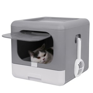 Cat inside modern enclosed litter box