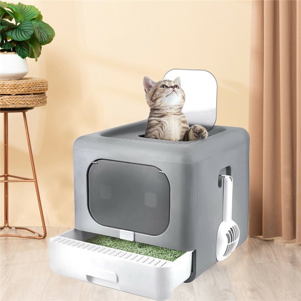 Cat sitting in modern enclosed litter box