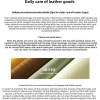 Leather goods daily care instruction poster