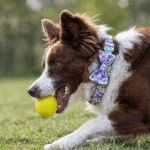 copilot 20260416 140812 copilot 20260416 140812