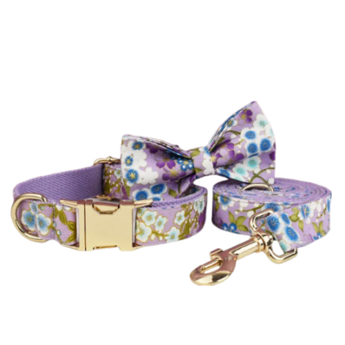 cropped cropped download 2 1 2815e5ae 8dcf 4486 99d9 cc9fdb317482 1.png