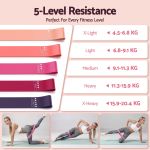 everfit pilates ring set for women, 15pcs home workout pilates equipment with ring, ball, yoga socks, d ring etc. pilates starter kit for strength, toning and flexibility pink
