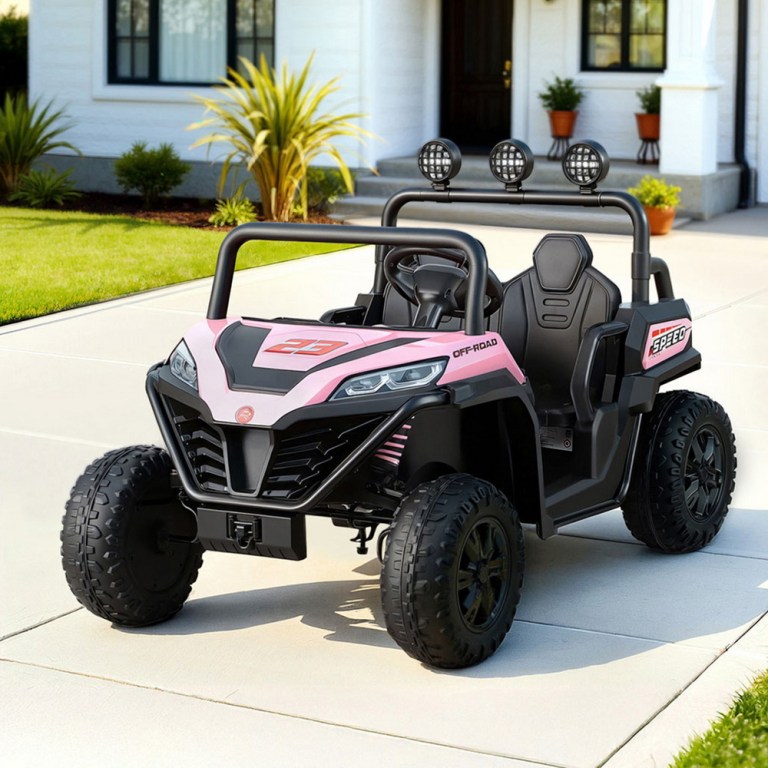 rcar utv 2s pk 202509291426 00.jpg